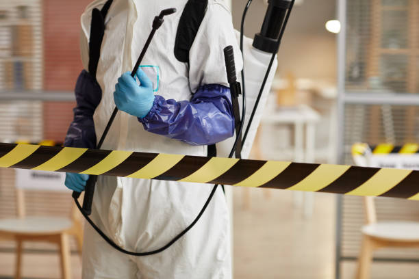 Professional Sewage Cleanup technician working in Island Heights, NJ